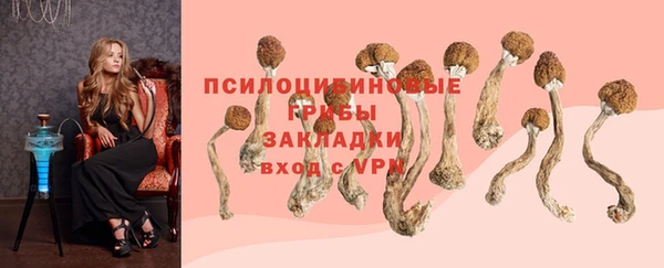 соль ск Алзамай