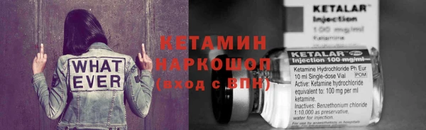 СК Алексин