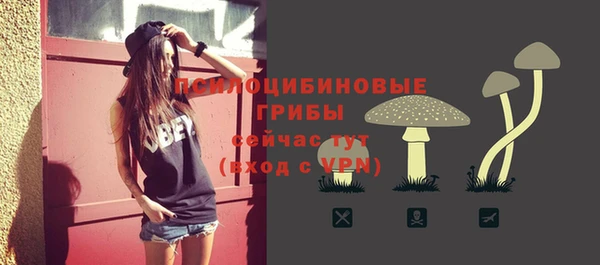 соль ск Алзамай