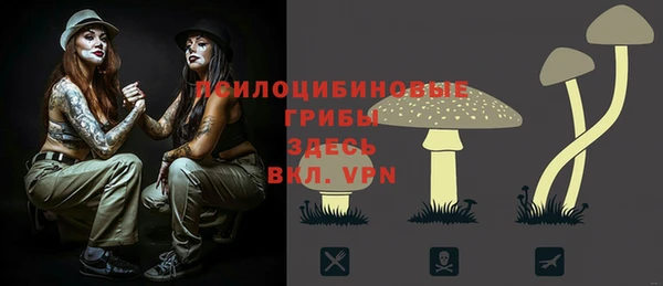 амф Алексеевка