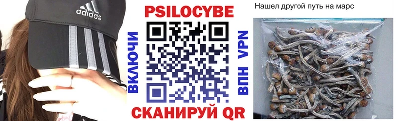 OMG ссылки  продажа наркотиков  Жердевка  Псилоцибиновые грибы Cubensis 